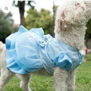 A Leading Role x Disney Cinderella Premium Pet Costume